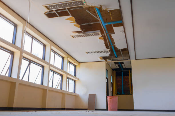 Best Fire Damage Restoration  in Randolph, WI