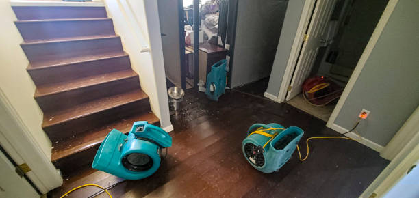 Best Water damage restoration cost  in Randolph, WI
