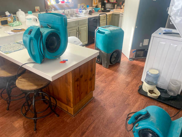 Best Water damage cleanup near me  in Randolph, WI
