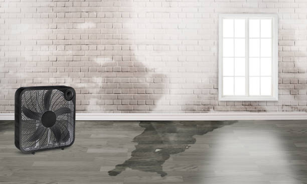Best Emergency water damage restoration  in Randolph, WI