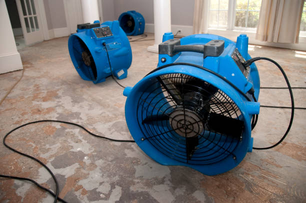 Best Residential water damage restoration  in Randolph, WI