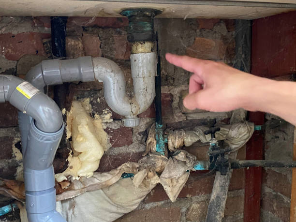 Best Sewage cleanup and water damage restoration  in Randolph, WI