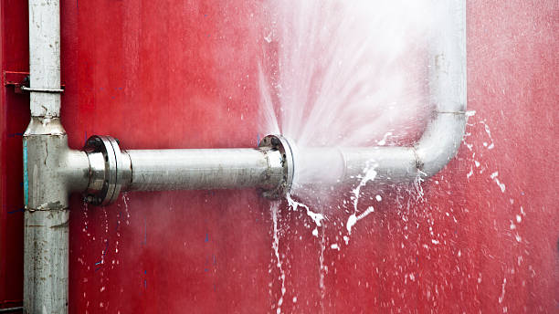 Best Sewage cleanup and water damage restoration  in Randolph, WI