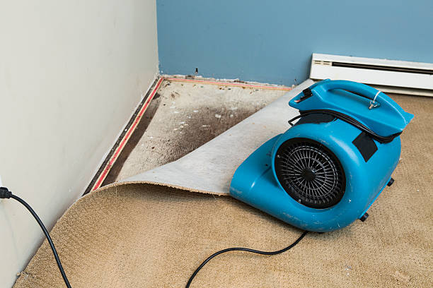 Best Flood damage cleanup  in Randolph, WI